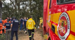 Brazil: At least eight dead after hot air balloon crashes