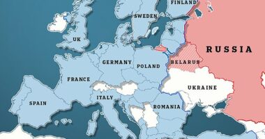 'British mothers must accept their sons have to die to defend Finland, or there is no NATO': Chilling warning as Putin looks to test if Europe will stand up to his forces