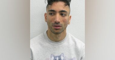 British paedophile charged over mock Disneyland wedding to child