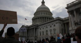 Budget Office Estimates Biden Border Bedlam Cost States Billions