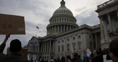 Budget Office Estimates Biden Border Bedlam Cost States Billions