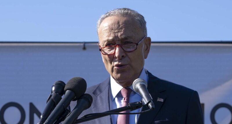 CNN Falsely Accuses Trump Of Not Notifying Dems Of Iran Strike
