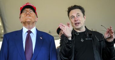 CNN Is Having a Normal One – Panelist Suggests Trump Might Have Musk Killed or Imprisoned After Spat – RedState