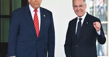 Canada has retaliated against the United States for shutting down trade talks by hiking duties on American steel imports to 50 percent if they exceed a certain quota (Pictured: President Donald Trump and Canadian Prime Minister Mark Carney at the White House on May 6, 2025)