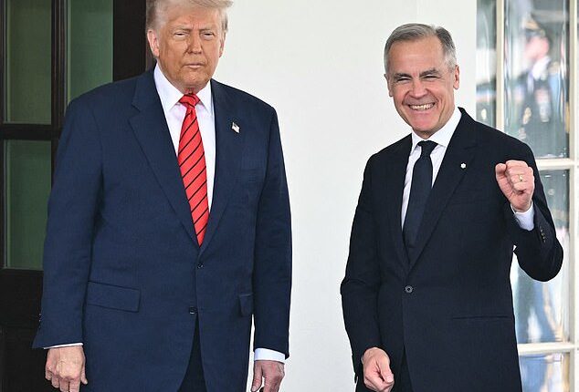 Canada has retaliated against the United States for shutting down trade talks by hiking duties on American steel imports to 50 percent if they exceed a certain quota (Pictured: President Donald Trump and Canadian Prime Minister Mark Carney at the White House on May 6, 2025)