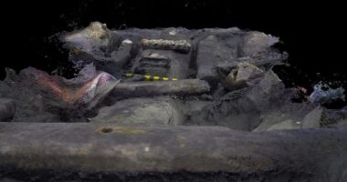 Sunken remains of the Endeavour have been found in Newport Harbor, Rhode Island, after experts formally identified her with a wreck called RI 2394