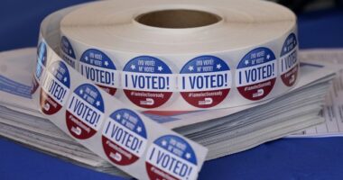 Chinese National Hit With Federal Charges for Illegally Voting in 2024 Presidential Election – RedState