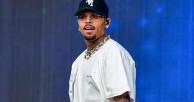 Chris Brown Checks Fan For Throwing Drink At Him During Breezy Bowl Concert
