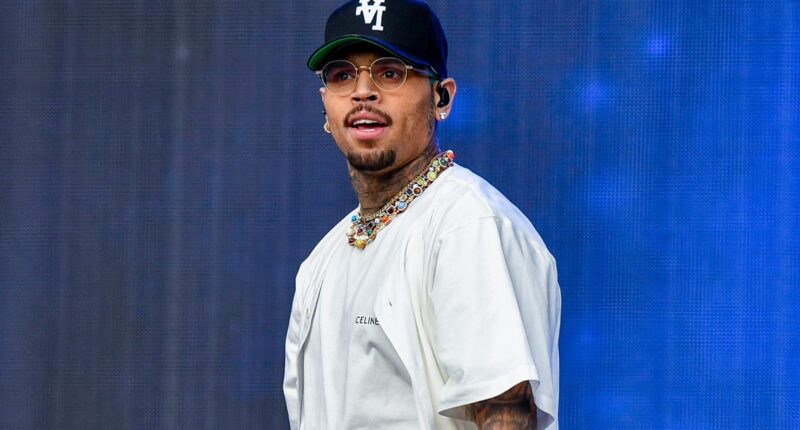 Chris Brown Checks Fan For Throwing Drink At Him During Breezy Bowl Concert