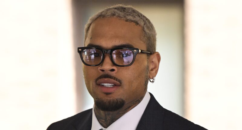 Chris Brown Fan Nicola Paparazzo Reacts Backlash Meet-And-Greet Photo Singer Mirror Selfie Influencer Jada Wallace Breezy Bowl