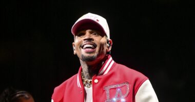 Big Breezy! Fans React As Chris Brown Turns Up Heat With Fan At 'Breezy Bowl XX' Tour Stop In Hamburg
