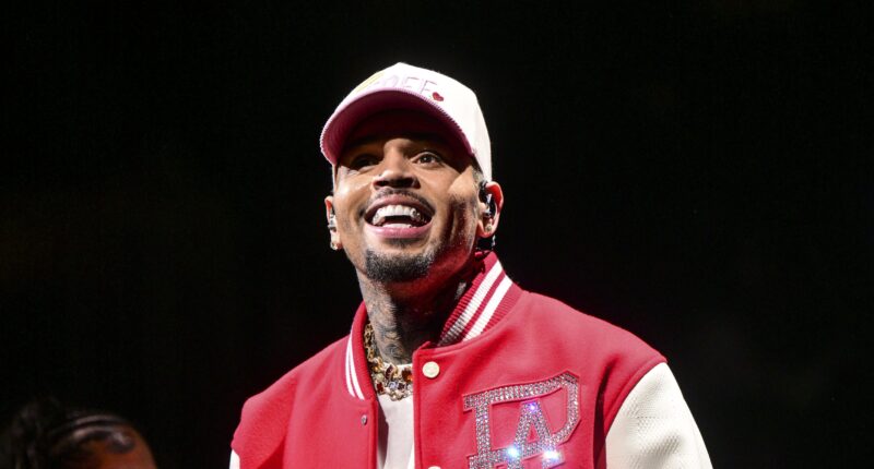 Big Breezy! Fans React As Chris Brown Turns Up Heat With Fan At 'Breezy Bowl XX' Tour Stop In Hamburg