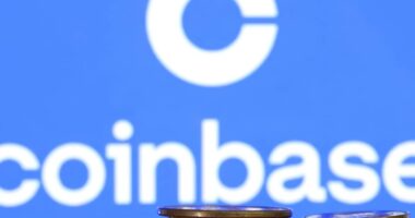 Circle’s stock plummets 25% over two days as investors flock to this other stablecoin play