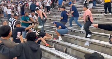 Fans of PSG and Botafogo were seen brawling in the stands during their Club World Cup match