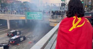 Congress Investigating Role of Paid Agitators in Pro-Illegal Immigrant Riots.