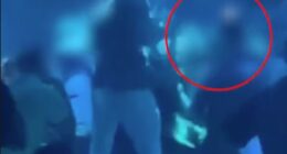 McGregor floored a partygoer with punches at Pacha nightclub in Ibiza on Tuesday morning