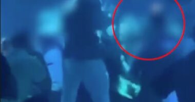 McGregor floored a partygoer with punches at Pacha nightclub in Ibiza on Tuesday morning