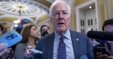 Cornyn on the Ropes in Texas? – HotAir