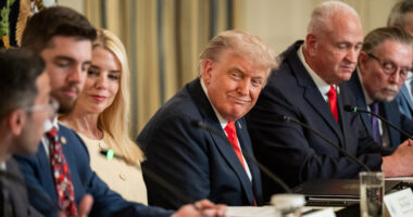 Court Says Trump CAN Ban Fake News AP From White House.