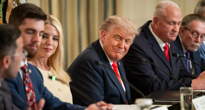 Court Says Trump CAN Ban Fake News AP From White House.