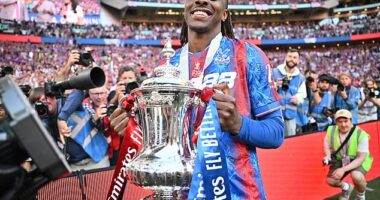 Crystal Palace qualified for the Europa League by winning the FA Cup at Wembley last month