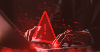 DOGE’s expanded Social Security access raises fresh privacy fears: ‘The stakes are very high’