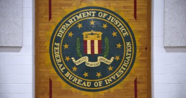 DOJ Officials Didn't Know Database Let FBI Bury Russiagate Docs