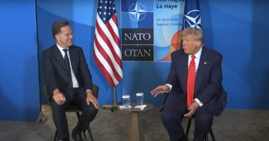'Daddy' Trump Scores 'Monumental Win' Over NATO — But One Member Faces Trade Sanctions.