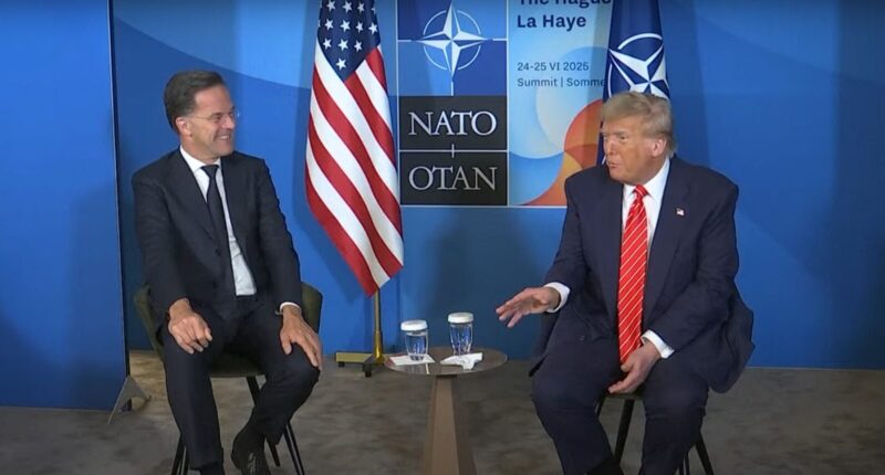 'Daddy' Trump Scores 'Monumental Win' Over NATO — But One Member Faces Trade Sanctions.