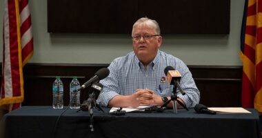 CEO Glenn Hickman said that the tragic loss of millions of his chickens was preventable