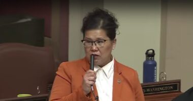 Democrat Lawmaker Confesses That She's an Illegal Immigrant.