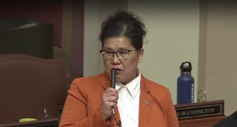 Democrat Lawmaker Confesses That She's an Illegal Immigrant.