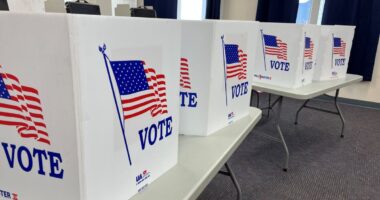 Dems Find Judge To Block More Of Trump's Election Law Order