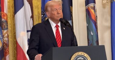 Despite Riots, Americans Still Support ICE And Want Deportations