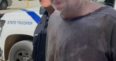 A tense, two-week manhunt ended in the dense Arkansas woods on Friday afternoon as authorities captured Grant Hardin, a convicted murderer and rapist and known as the 'Devil in the Ozarks'