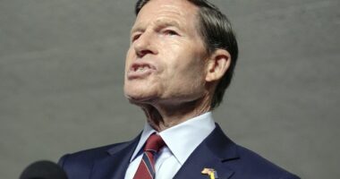 Dick Blumenthal Disses Marines on X, and You'll Love the Replies – RedState