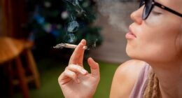 Nearly 18million people use marijuana daily or near-daily, an increase from about 1million three decades ago (stock image)