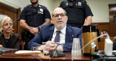 Disgraced film mogul Harvey Weinstein again found guilty of an assault - but acquitted on other sex charges