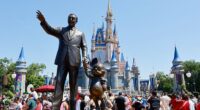 Walt Disney World fans have become embroiled in a heated debate about the transportation at the beloved theme park