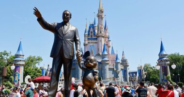 Walt Disney World fans have become embroiled in a heated debate about the transportation at the beloved theme park