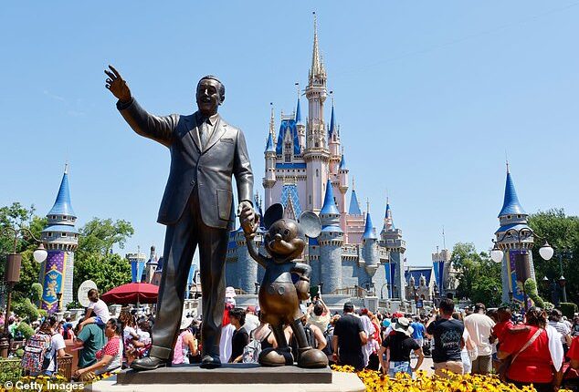 Walt Disney World fans have become embroiled in a heated debate about the transportation at the beloved theme park