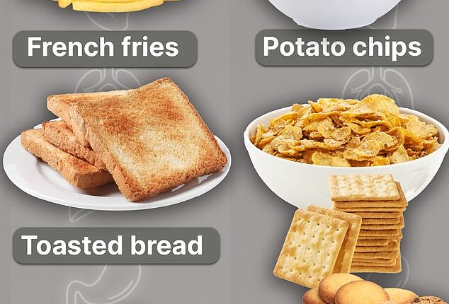 The above graphic shows the foods listed by the American Cancer Society that could contain acrylamide