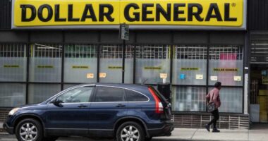 Dollar General is only ‘scratching the surface’ following earnings, analyst says. How DoorDash and Dolly Parton are helping.