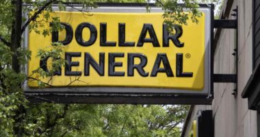 Dollar General’s stock soars as tariff pressures didn’t hurt profits or outlook