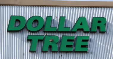 Dollar Tree has more than just wealthier customers to handle tariffs, analysts say