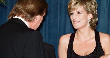 Princess Diana meets Donald Trump at the United Cerebral Palsy's 1995 Humanitarian Dinner in New York