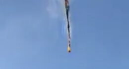 At least eight people have died after a hot-air balloon burst into flames and plunged to the ground in Brazil (pictured) - as it is claimed two miraculously survived