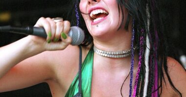 She was the deadlocked songstress who enjoyed massive chart success in the early noughties with her band Killing Heidi. And Ella Hooper cut a very different figure when she appeared, alongside bandmate and brother Jesse on Today Extra this week