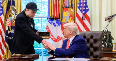 Elon Lashes Out at Trump Over Epstein Logs... Except We Reported That In February.