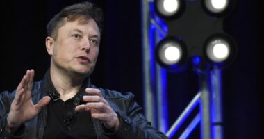 Whew! Elon Musk Reacts After SpaceX Rocket Explodes During Testing In Texas